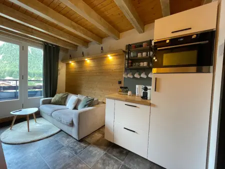 Location appartement à Pralognan la Vanoise, Charmant duplex rénové, terrasse sud, 2 chambres, près des commerces