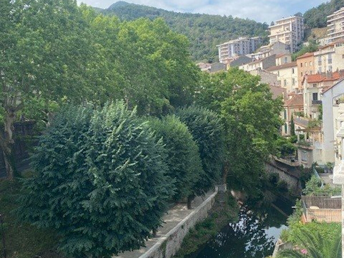 F3 centre-ville Amélie-les-Bains, 100m des thermes - Photo 13