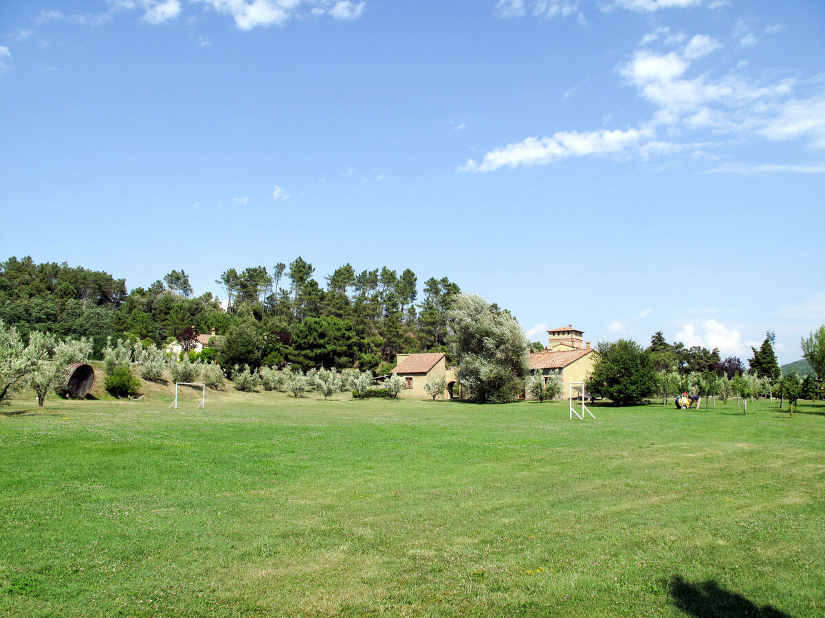 Falco – Appartement 5 pers. vue panoramique Riparbella - Photo 36