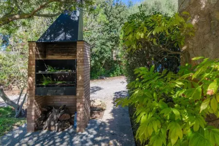 Villa Sa Plana : finca rustique avec piscine à Son Servera : photo 34
