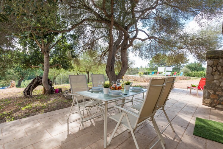 Villa Sa Plana à Calvià : piscine d'eau salée et nature - Photo 26