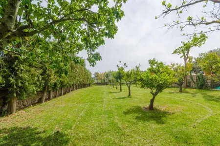Villa Es Rafal De Baix - 8 pers, piscine privée : photo 48