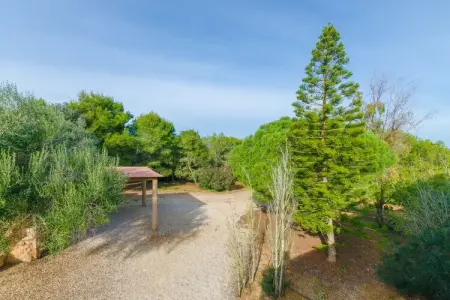 Villa Es Figueral à Campos : piscine 6x10m et jardin : photo 44