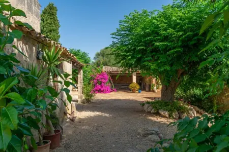 Villa Son Negre, 4 chambres avec piscine à Felanitx : photo 38