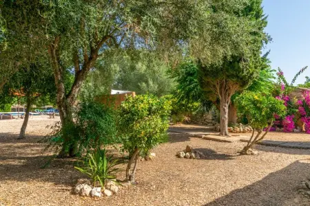 Villa Son Negre, 4 chambres avec piscine à Felanitx : photo 40