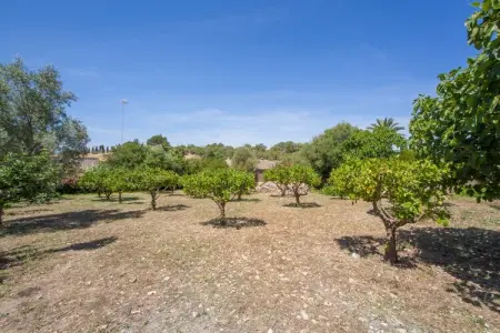 Villa Son Gorriò, piscine privée à Sant Llorenç : photo 27