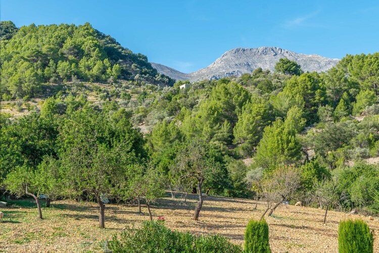 Sa Tanca De Sa Nina – Villa 6 pers. à Mancor - Photo 44