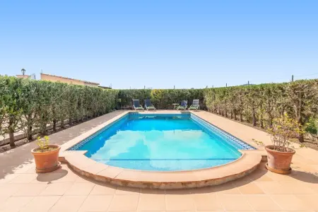 Villa Son Gallina - Piscine 8m et jardin à Sa Pobla : photo 2
