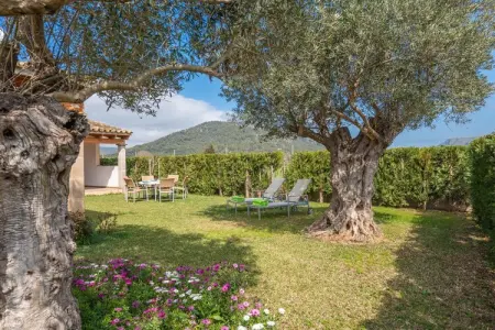 Villa Son Gallina - Piscine 8m et jardin à Sa Pobla : photo 4