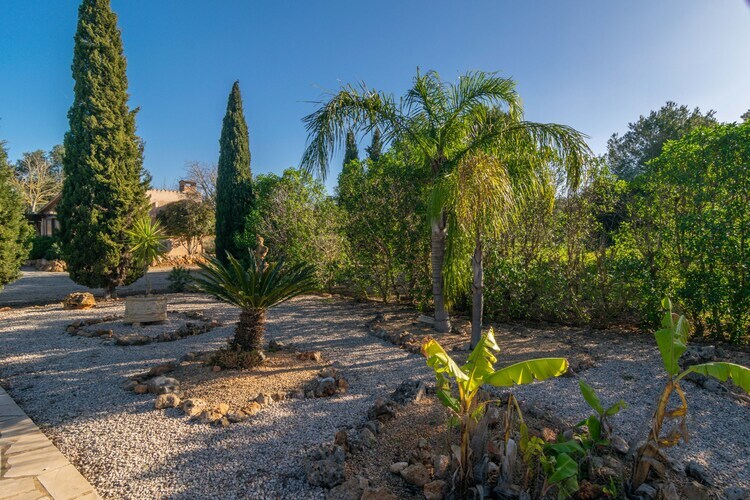 Villa Canaus à Porreres avec piscine 11x5m - Photo 12