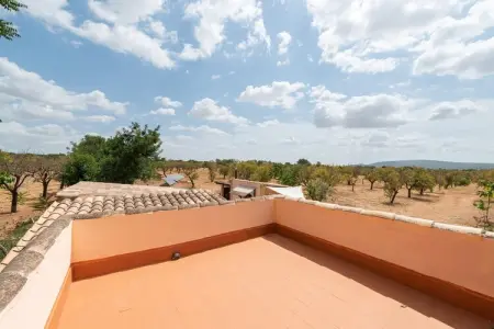 Sa Caseta, villa 6 pers. piscine à Santa María : photo 59