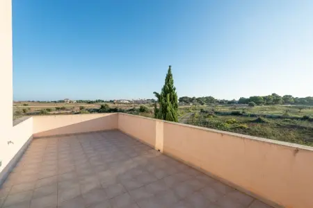 Sa Carrotja, villa 6 pers. piscine salée à Porto Cristo : photo 34