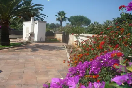 Villa Llampudol - 8 pers., piscine 9,5x4m à Sa Coma : photo 36