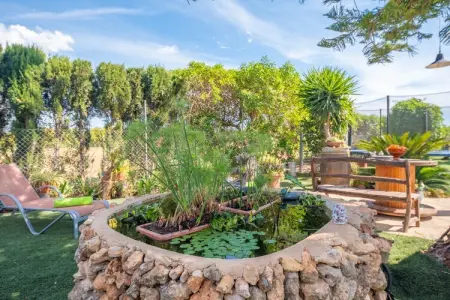 Can Pintat, villa 4 pers. avec piscine à Llubí : photo 33