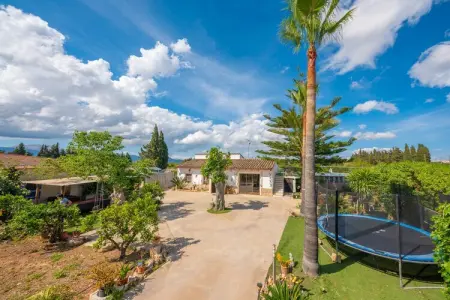 Can Pintat, villa 4 pers. avec piscine à Llubí : photo 34