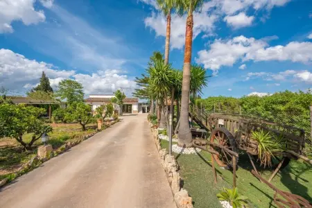 Can Pintat, villa 4 pers. avec piscine à Llubí : photo 37