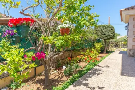 Villa Magdalena Gomila Marimon, 8 pers., piscine à Alcudia : photo 31