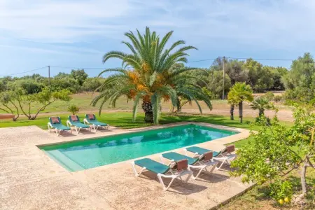 Son Floriana, villa 6 pers. avec piscine à Cala Millor : photo 12