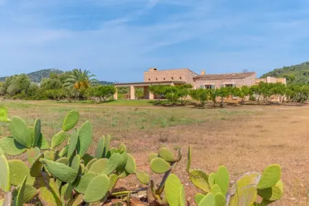 Son Floriana, villa 6 pers. avec piscine à Cala Millor : photo 38