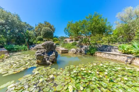 Villa Golf Marina aux Baléares, piscine et jacuzzi : photo 36