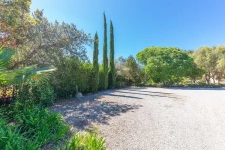 Villa Golf Marina aux Baléares, piscine et jacuzzi : photo 38