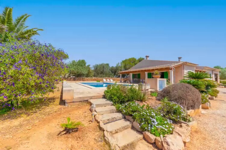 Villa Els Garrovers - Piscine d'eau salée aux Baléares - Photo 1