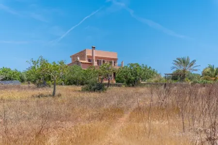 Villa Can Guillem Boquet à Porto Cristo, 100 m de la plage : photo 46