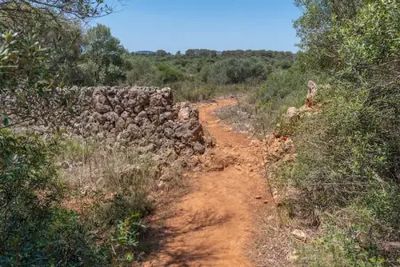 Villa Can Guillem Boquet à Porto Cristo, 100 m de la plage : photo 49