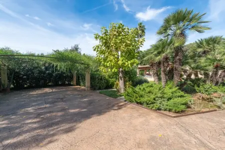 Cal Llenyater, villa 4 pers. à Pollença avec piscine : photo 34