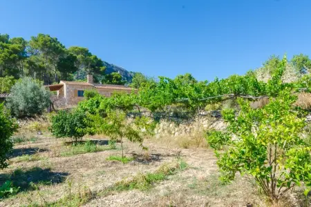 S'aresta Den Rumbet, villa 190 m² piscine Llucmajor : photo 18