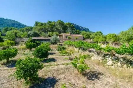 S'aresta Den Rumbet, villa 190 m² piscine Llucmajor : photo 19