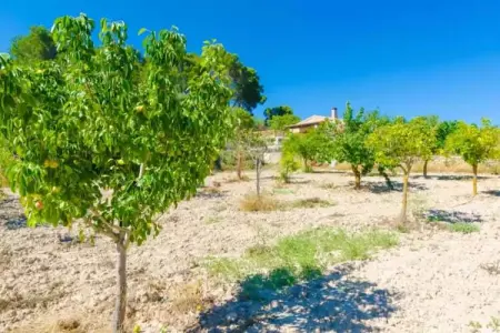 S'aresta Den Rumbet, villa 190 m² piscine Llucmajor : photo 21