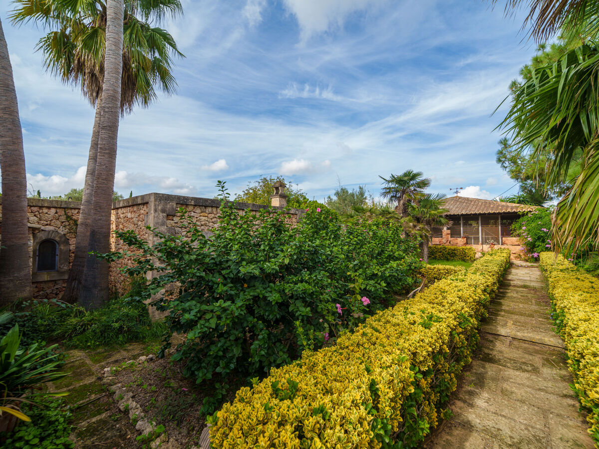 Villa Son Siurana - 6 pers., piscine privée à Ariany - Photo 34