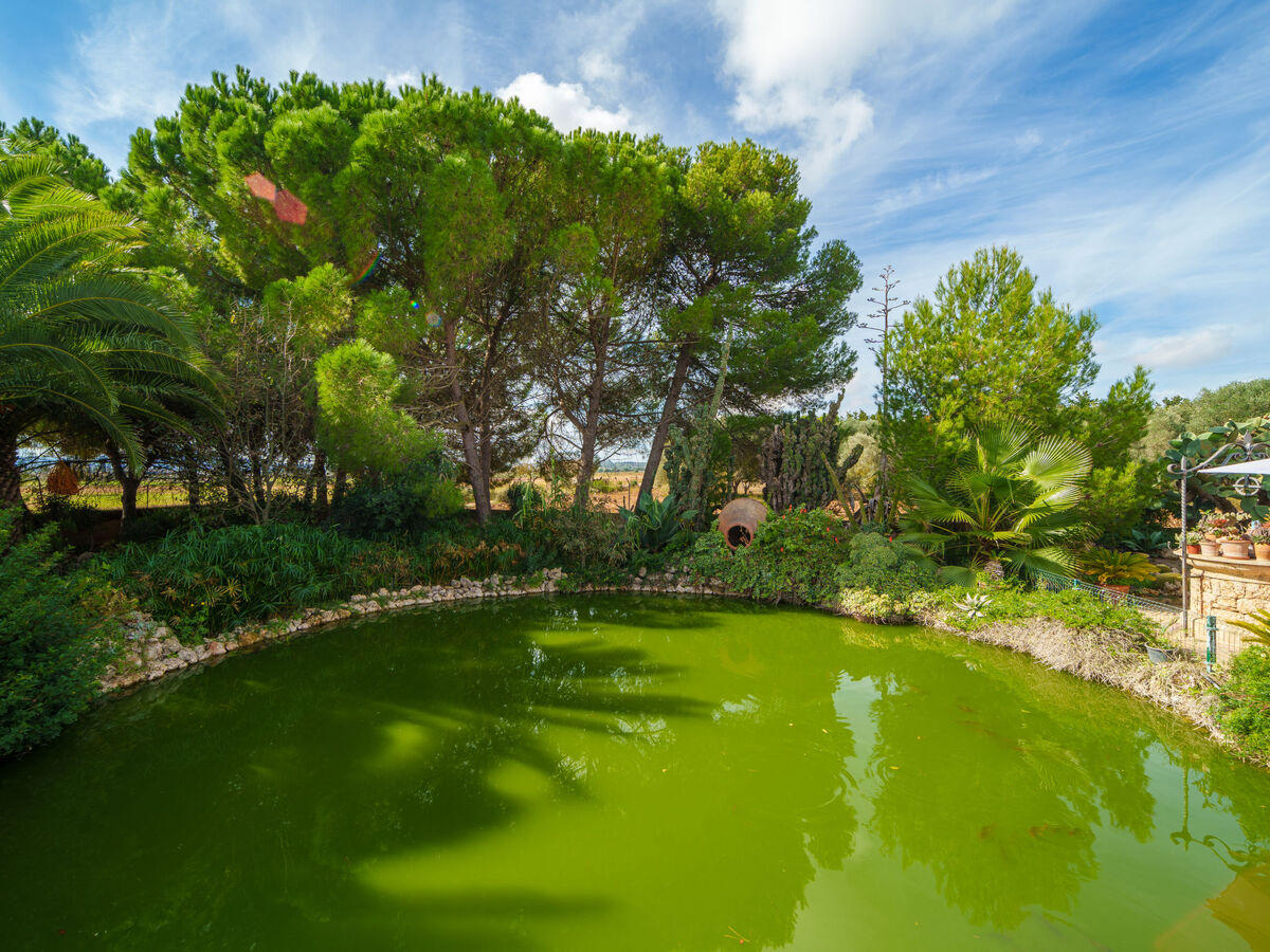 Villa Son Siurana - 6 pers., piscine privée à Ariany - Photo 35