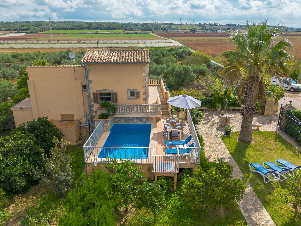 Villa Campas – 7 personnes, piscine privée à Ariany - Photo 32