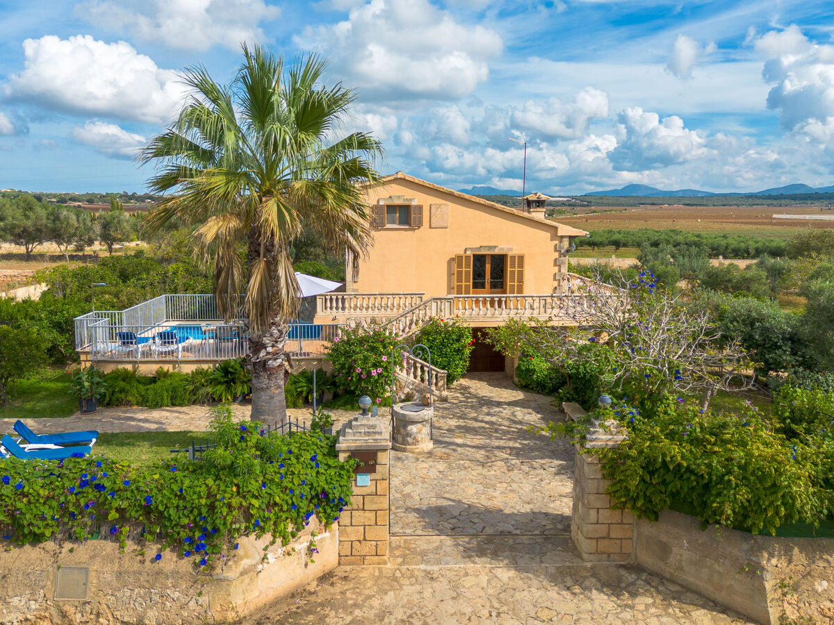 Villa Campas – 7 personnes, piscine privée à Ariany - Photo 34