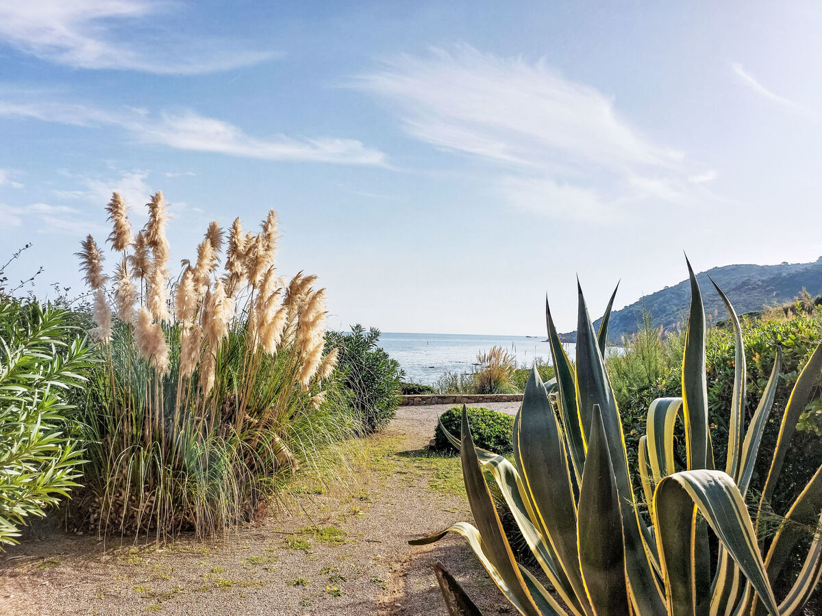 Appartement Bonne Terrasse, vue mer à 20 m de la plage - Photo 16