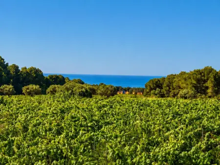 Charmante villa catalane avec piscine privée et climatisation à 20 min des plages - Photo 4