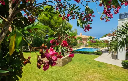 Villa Galeria Verde avec piscine vue mer à Betlem : photo 12