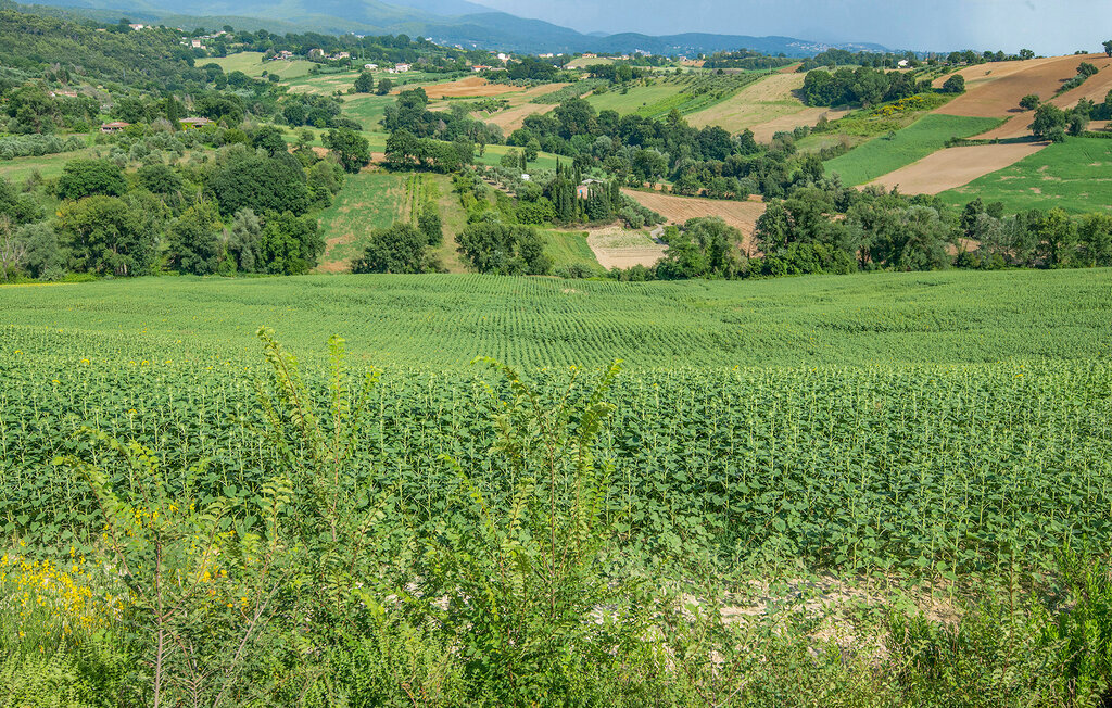 Maison 6 personnes à Montebuono - Photo 8