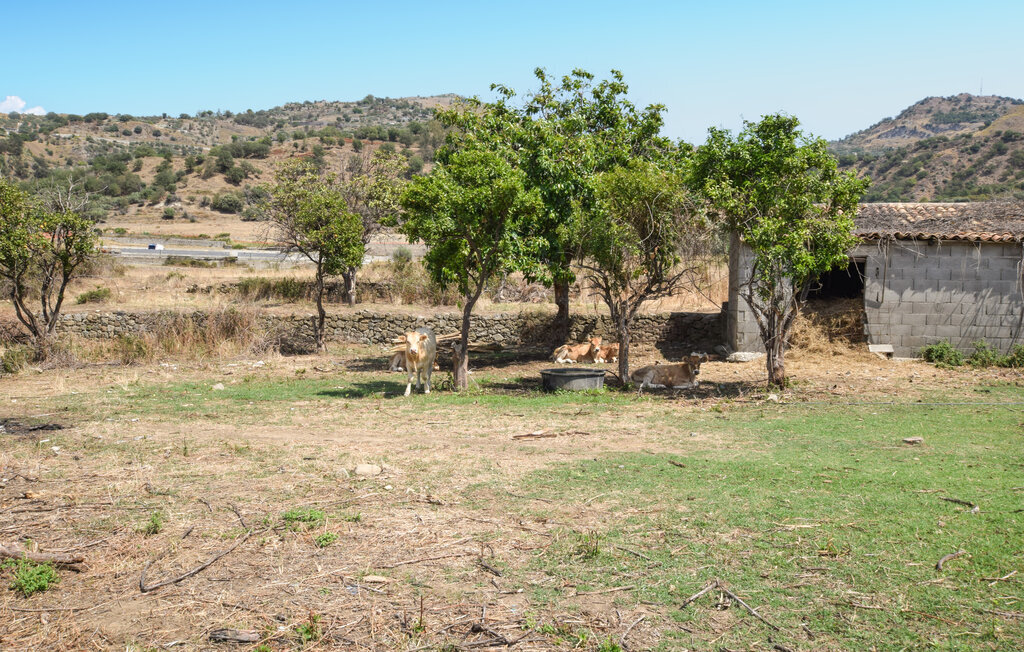 Villa Rossella, Maison 12 personnes à Gaggi - Photo 23
