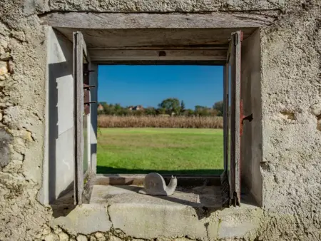 Maison de campagne avec piscine privée en Dordogne, 10 personnes : photo 40