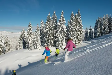 Location appartement à LA CLUSAZ, Résidence Domanial A