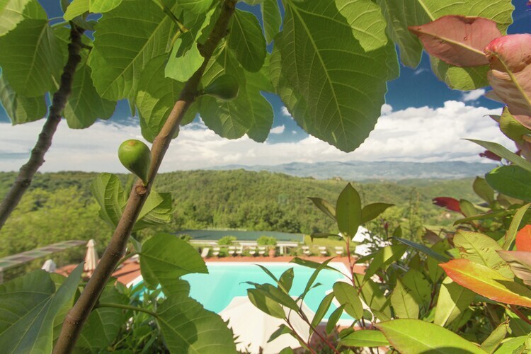 Maison Gaville Sei à Figline Valdarno avec piscine - Photo 30