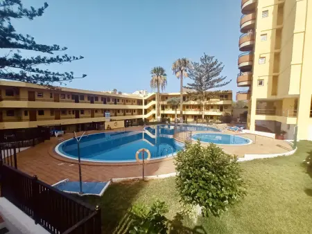 Appartement 1 chambre front de mer à Los Cristianos : photo 19