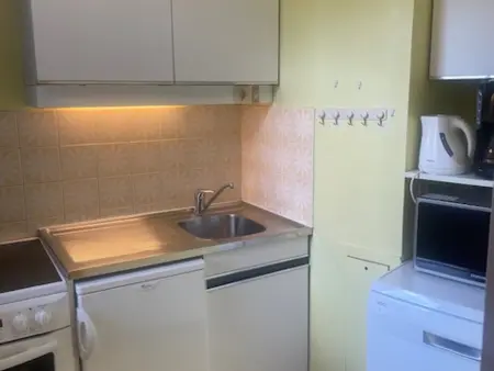 Appartement cosy aux Menuires, à 100 m des pistes, animaux admis : photo 3