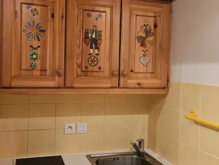 Appartement 4 pers. aux Menuires, pistes à 100 m, animaux admis : photo 16