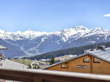 Appartement 4 étoiles aux Saisies avec accès spa : photo 14