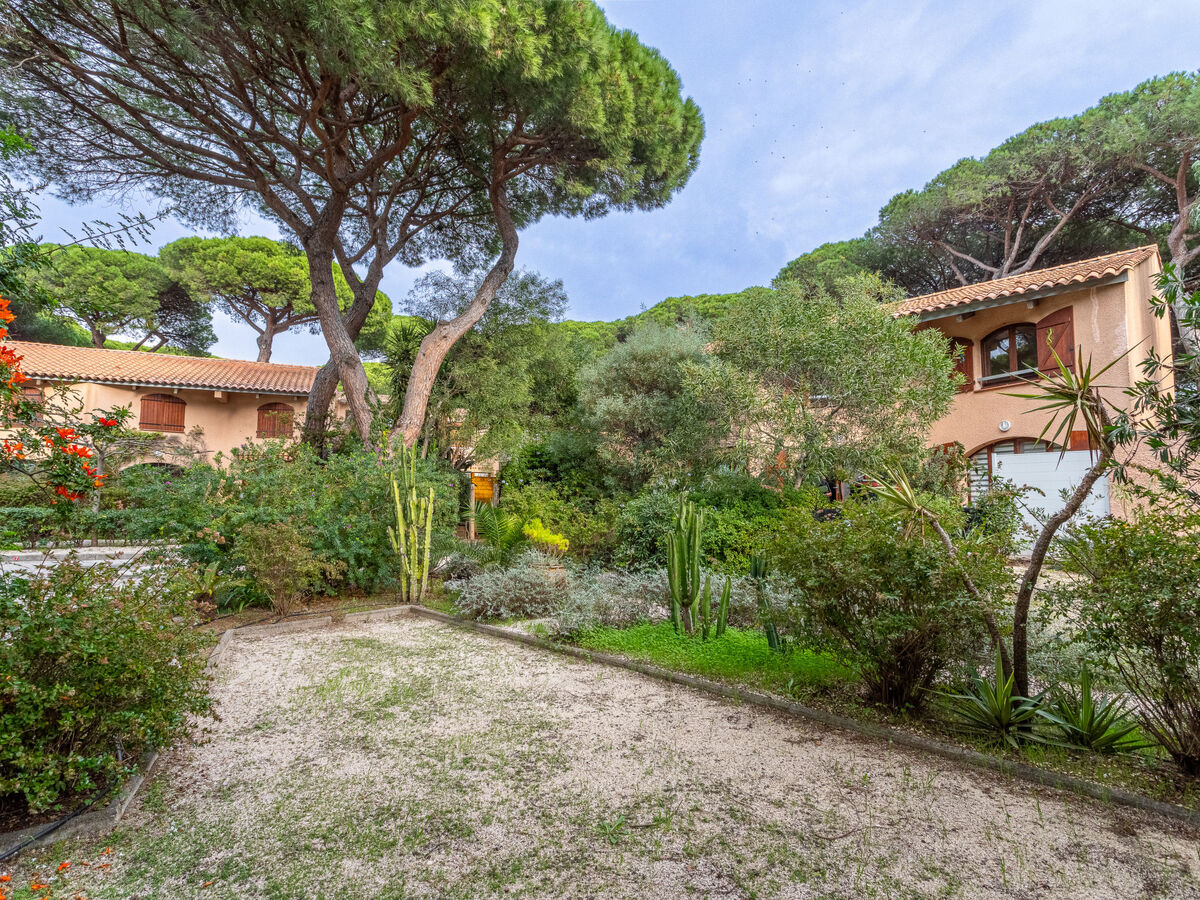 Maison Jean d'Agreve à Hyères, 650m de la mer - Photo 19