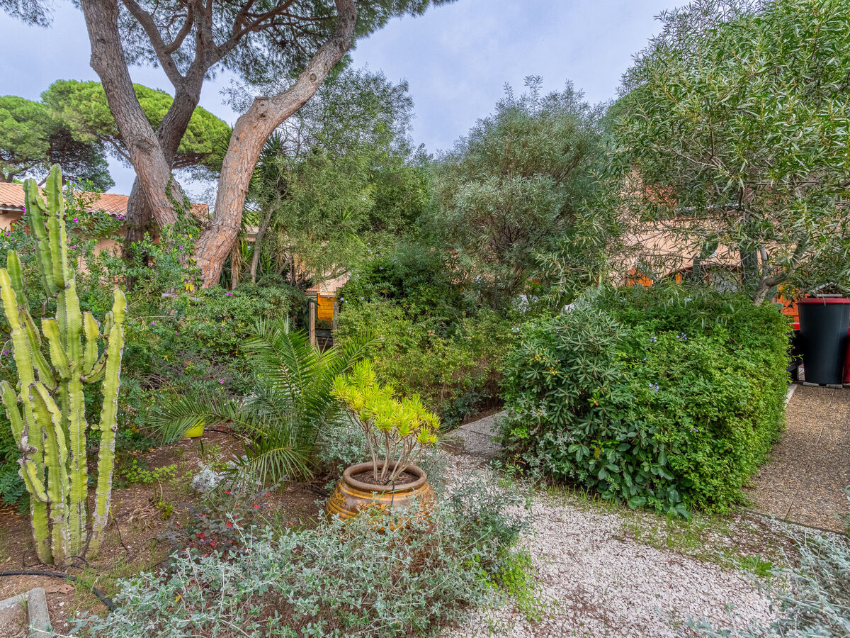 Maison Jean d'Agreve à Hyères, 650m de la mer - Photo 20